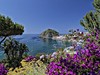 Ischia